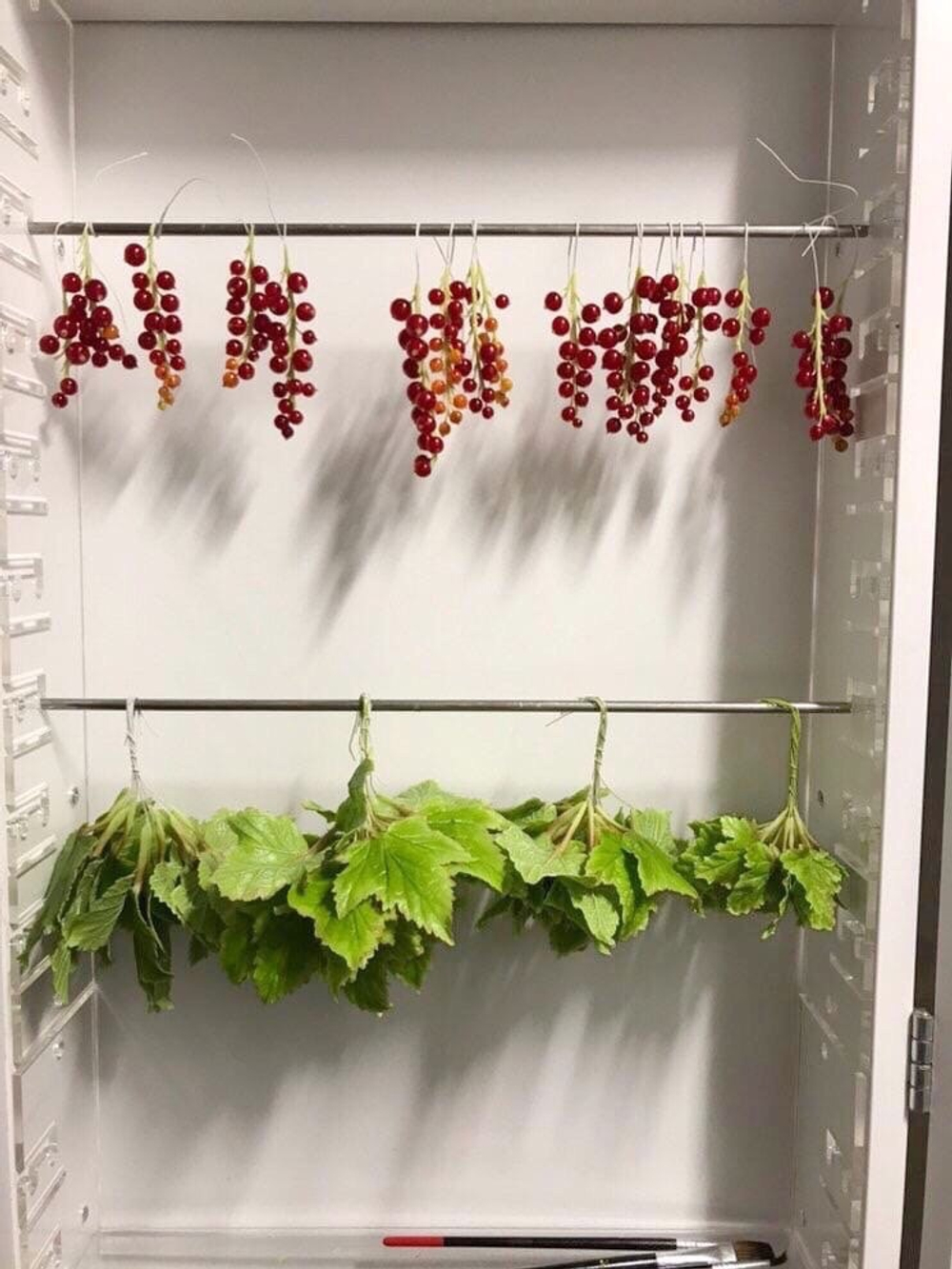Крючок для штанги (10 шт)