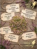 Вереск цвет для чайных купажей и фитосборов