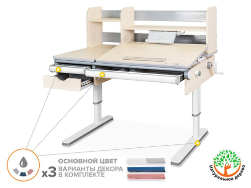 Растущая парта Mealux Montreal Multicolor BD-670 (1200×650 мм)