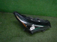 DSCN7670.JPG