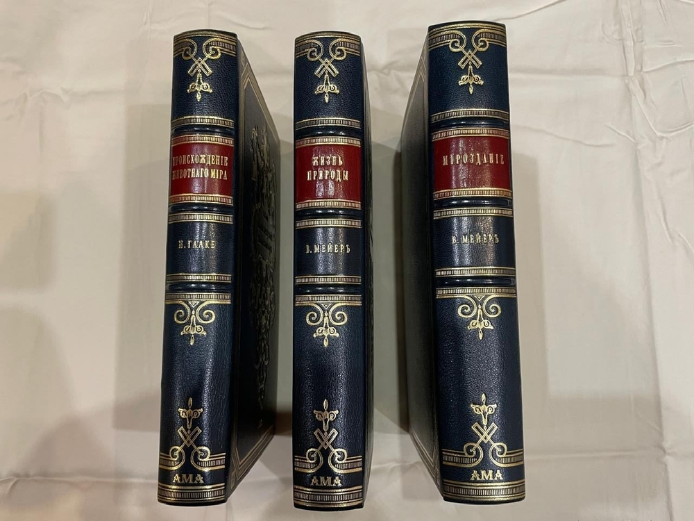 "Мироздание. Астрономия в общепонятном изложении". Мейер. 1902г.