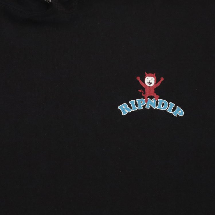 Толстовка мужская Ripndip Heaven On Earth Hoodie артикул:RND9934 - купить в магазине Дайс
