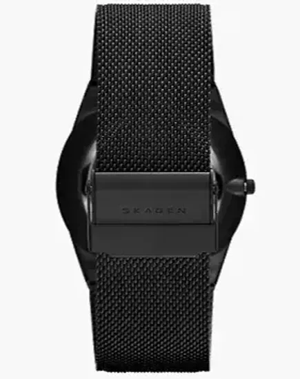 Наручные часы Skagen SKW6006
