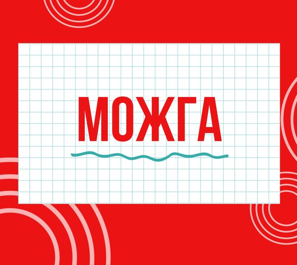 Магазины "Циркуль" г. Можга
