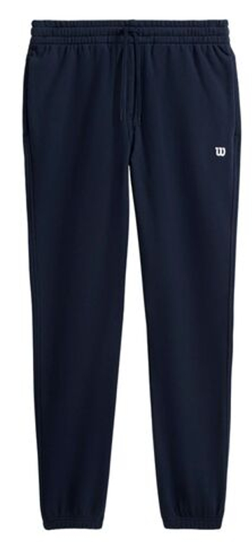 Мужские теннисные штаны Wilson Unisex Crew Pant - небесный