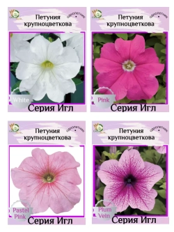 Семена Петуния Крупноцветковая