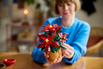 Конструктор Лего айконс Пуансеттия 10370 | LEGO Icons Poinsettia 10370 декоративная ботаническая модель 608 деталей 18+