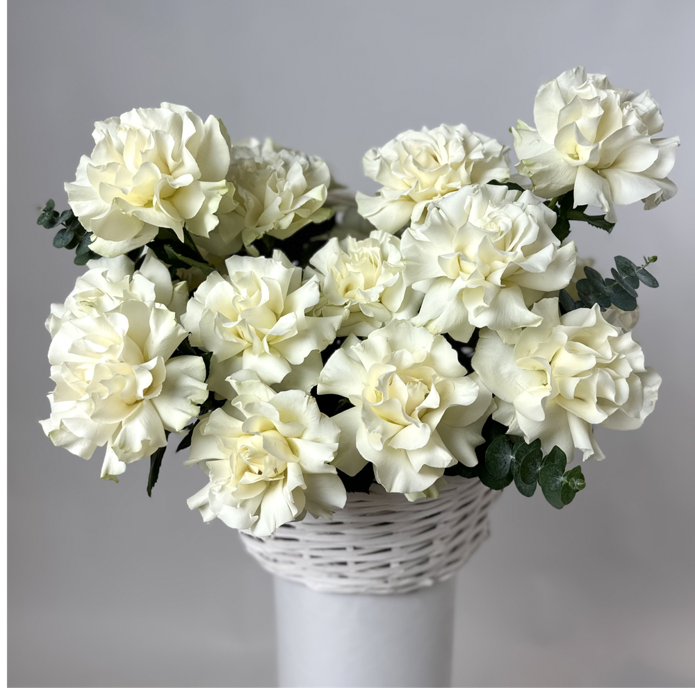 Bouquet of 25 white French Blanche roses in a basket