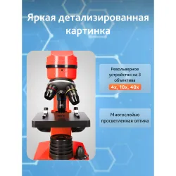 Микроскоп Levenhuk Rainbow 2L Orange\Апельсин - револьверная головка с объективами и предметный столик