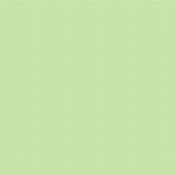 Бумага цветная 300 г/м², 50х70 см, 25 шт, 12 мятный/mint, Vista-Artista MFO-AA