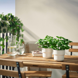 IKEA FEJKA  (ИКЕА ФЕЙКА)  -  Искусственное растение в горшке - для дома и улицы/базилик 9 см