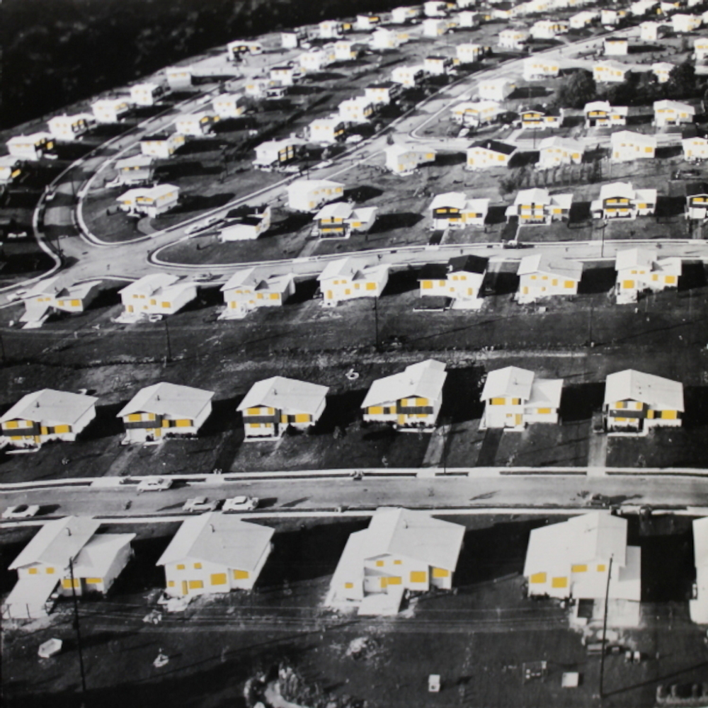 Billy Joel / The Nylon Curtain (LP)