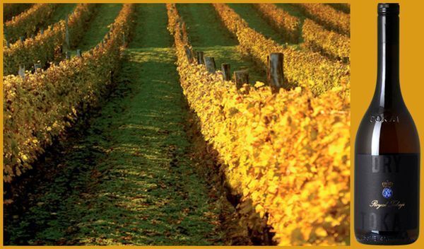 Вино недели с 12 марта - Royal Tokaji Dry Tokaji Вино недели с 12 марта - Royal Tokaji Dry Tokaji