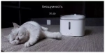Поилка для животных Xiaomi White wmwf01mg