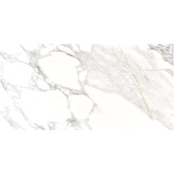 STATUARIO ALTIMO 60x120 POLISHED