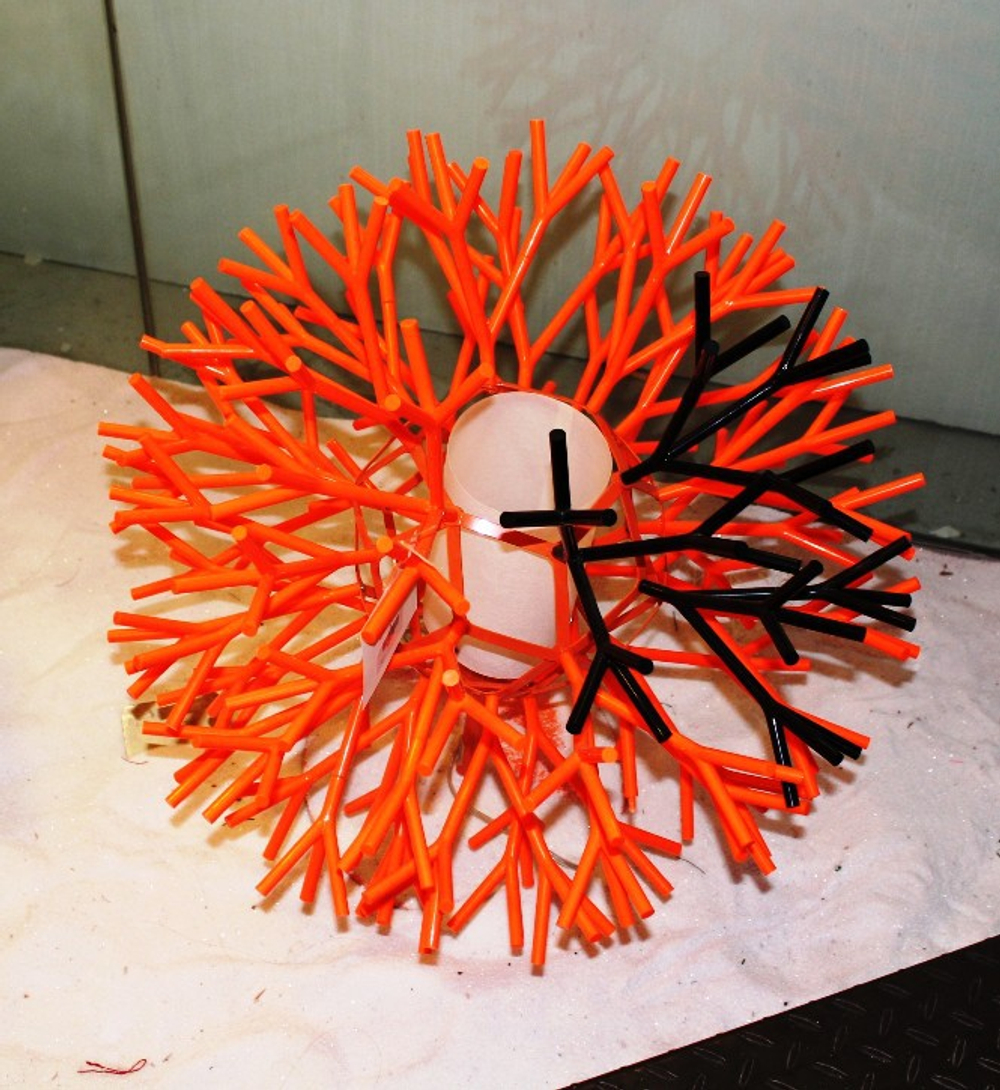 _Coral_By_Palluco_delightful_su_1
