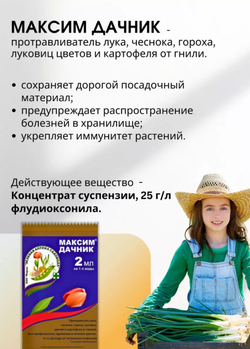 Фунгицид "Максим Дачник", предназначенный для защиты растений от гнилей и почвенных инфекций.