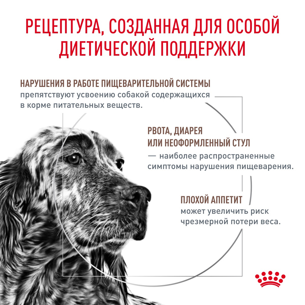 Royal Canin Gastrointestinal Гастроинтестинал Корм сухой диета для взрослых собак при расстройствах пищеварения 15кг