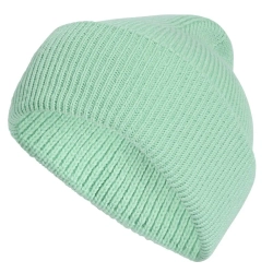 Шапка зимняя Adidas Terrex Multi Beanie - pulse mint
