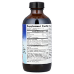 Planetary Herbals, Сироп для детей с мушмулой, 8 жидких унций (236,56 мл)