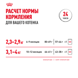 Сухой корм ROYAL CANIN Kitten Sterilised для стерилизованных котят с момента операции до 12 месяцев - 0,4 кг