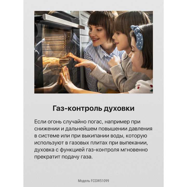 Газовая плита Hansa FCGW51099