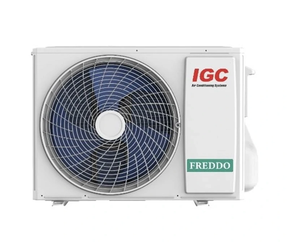 IGC RAS-V09RTF