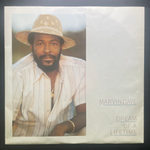 Marvin Gaye - Dream Of A Lifetime (Голландия 1985г.)