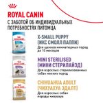 Royal Canin X-Small Adult Икс-Смол Эдалт Корм сухой для взрослых собак миниатюрных пород от 10 месяцев 3кг