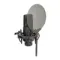 SE Electronics X1 S Studio Bundle