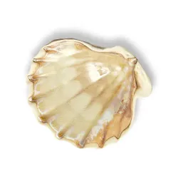 Блюдо для подачи 13*12 см h3 см 50 мл емкость для закусок Pearl Shell Frutti di Mare P.L. [1]