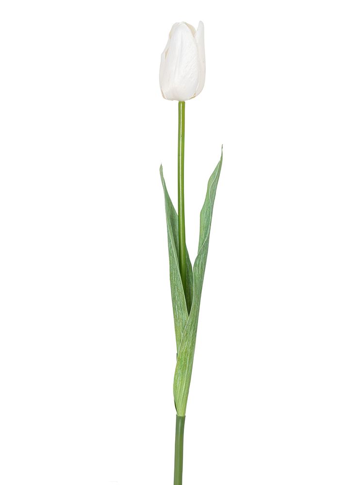Цветок декоративный Fiebiger Floristik: Тюльпан, 203612-100