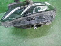 DSCN4147.JPG