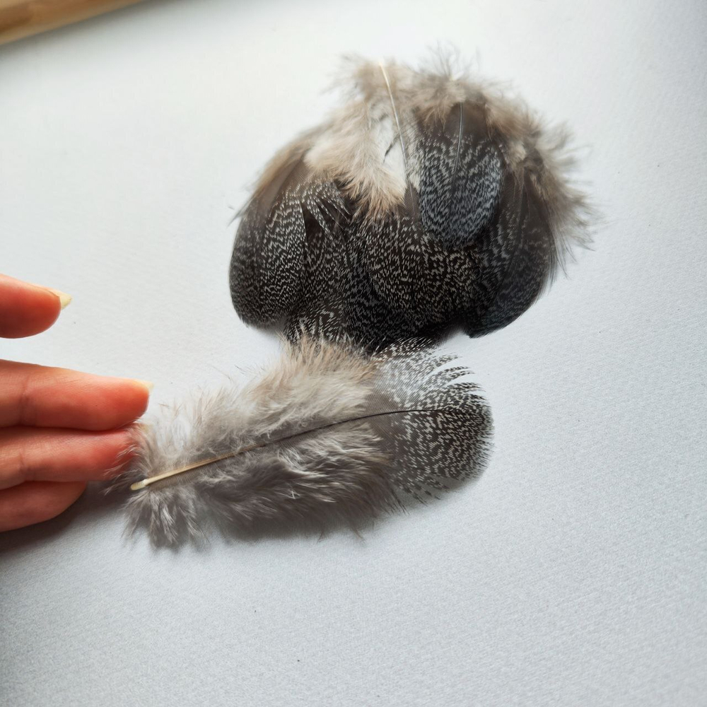 Перья глухаря 7-10 см 10 шт. г5