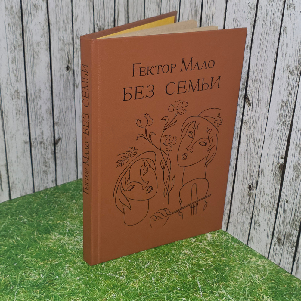 книга " Без семьи "