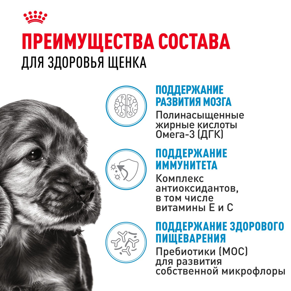 Royal Canin Mini Puppy Мини Паппи Корм сухой для щенков мелких пород в возрасте до 10 месяцев 2кг
