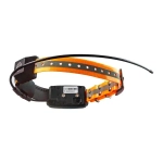 GPS ошейник ARTELV COLLAR 2W