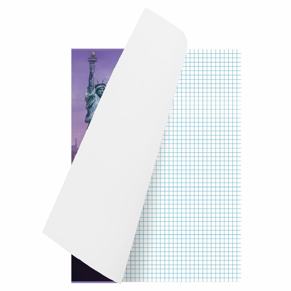 Тетрадь А4, 80 л., BRAUBERG ЭКО, скоба, клетка, обложка картон, "City", 404045, 3шт