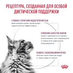 Корм сухой для кошек Royal Canin Renal feline, 2кг