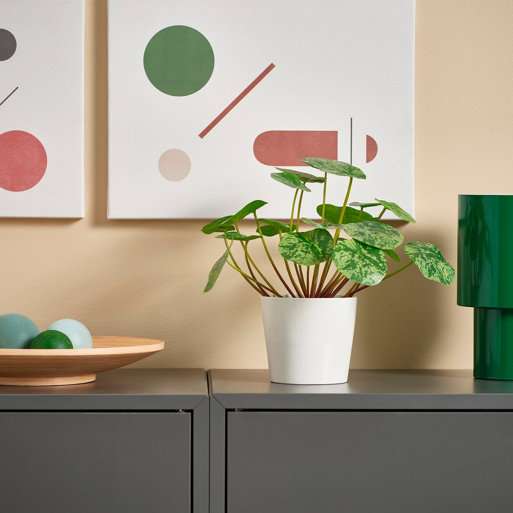 IKEA FEJKA  (ИКЕА ФЕЙКА)  -  Искусственное растение в горшке - для дома/улицы Pilea 9 см