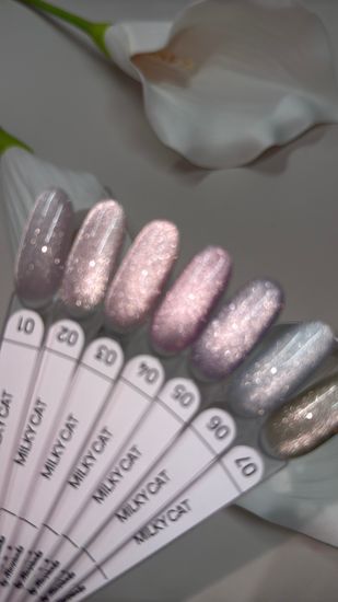 Гель лак Galaxy Milky Cat №04, 9g