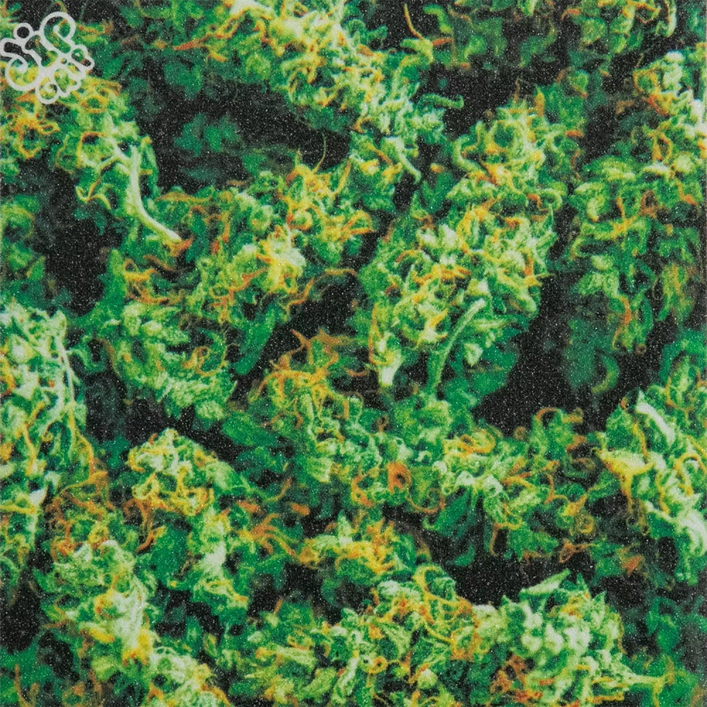 Шкурка DipGrip Greens c перфорацией