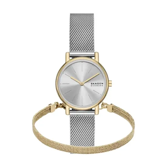Женские часы Skagen SKW3153SET