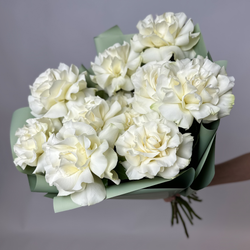 Bouquet of 11 white French Blanche roses