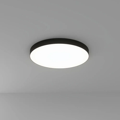 Потолочный светильник Arte Lamp FADO A7399PL-1BK, 1хLED