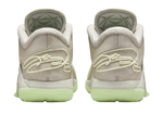 Заказать в Москве LeBron 22 Dunkman
