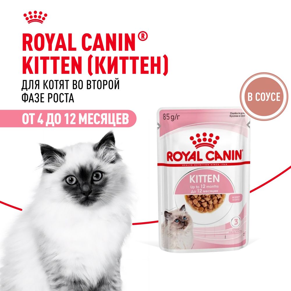 Пауч Royal Canin Kitten Gravy для котят в период второй фазы роста в возрасте до 12 месяцев, кусочки в соусе
