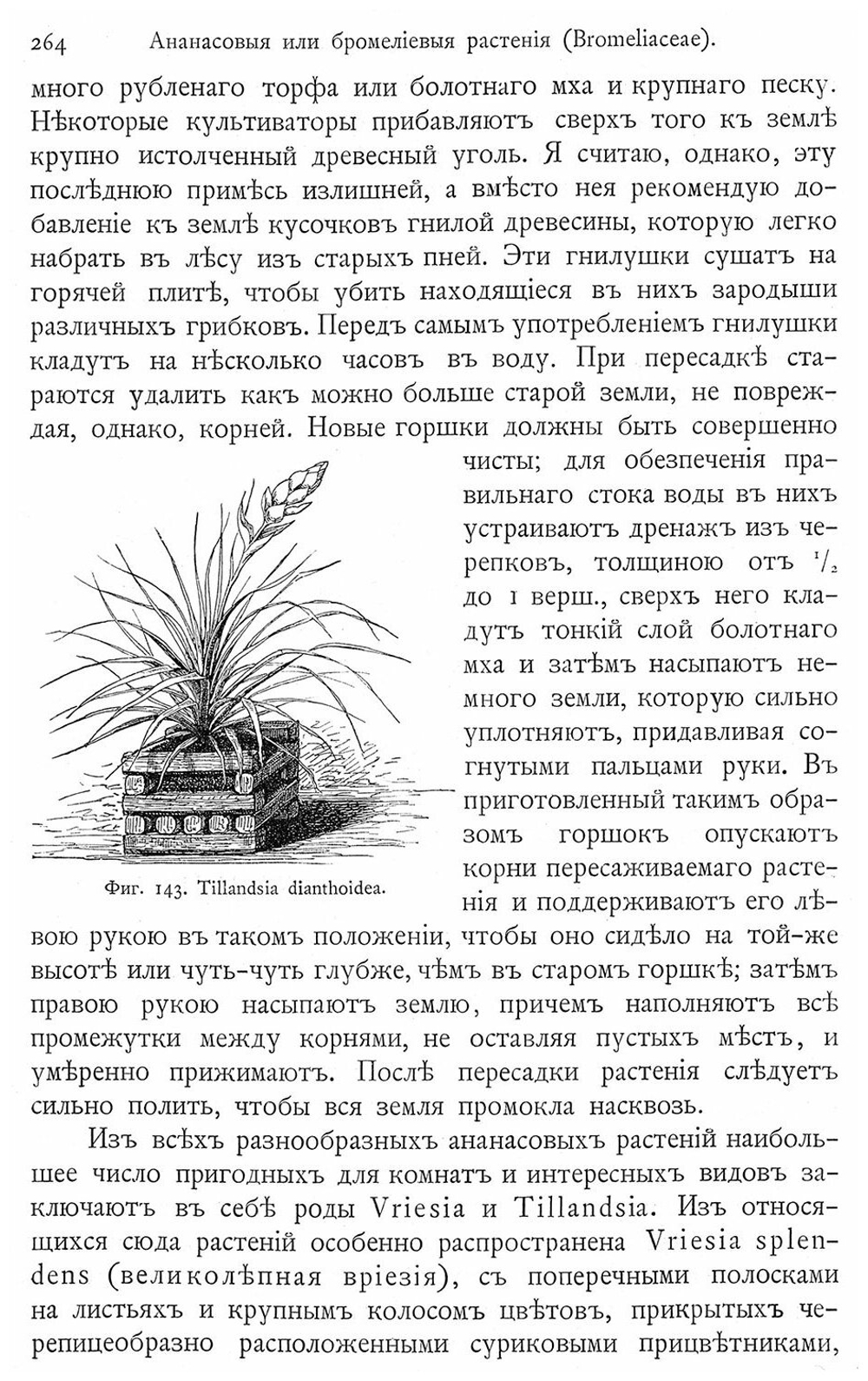 Комнатное садоводство. Гесдёрфер М.