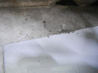 DSCN1290.JPG